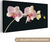 Tableau sur toile Orchidée sur fond noir - 80x40 cm - Décoration murale