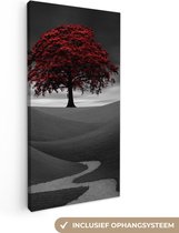 Canvas Schilderij Zwart-wit foto met een rode boom - 40x80 cm - Wanddecoratie