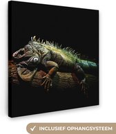 Tableau sur toile Animal - Branche - Zwart - 90x90 cm - Décoration murale