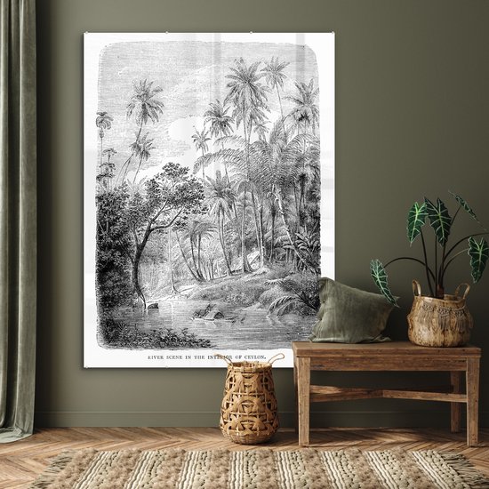 MuchoWow® Peinture sur Verre - Une Illustration d'une Rangée de Palmiers au Sri Lanka - 120x160 cm - Peintures sur Verre Acrylique - Photo sur Glas