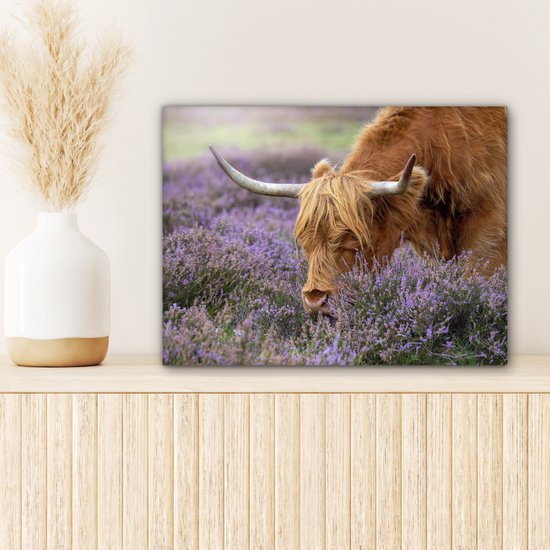 Tableau sur toile Scottish Highlander - Animaux - Bruyère - 40x30 cm - Décoration murale