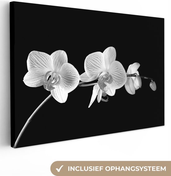 Canvas Schilderij Orchidee - Bloemen - Zwart - Roze - Knoppen - 120x80 cm - Wanddecoratie