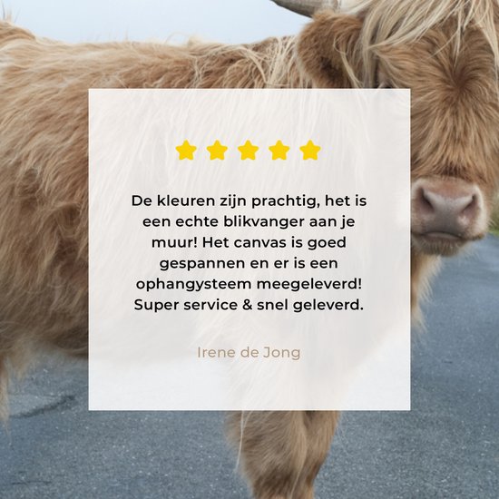 Tableau sur toile Scottish Highlander - Route - Herbe - 30x20 cm - Décoration murale