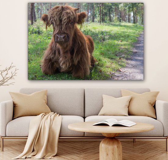 Tableau sur Toile Scottish Highlander - Crapaud - Animaux - 120x80 cm - Décoration murale