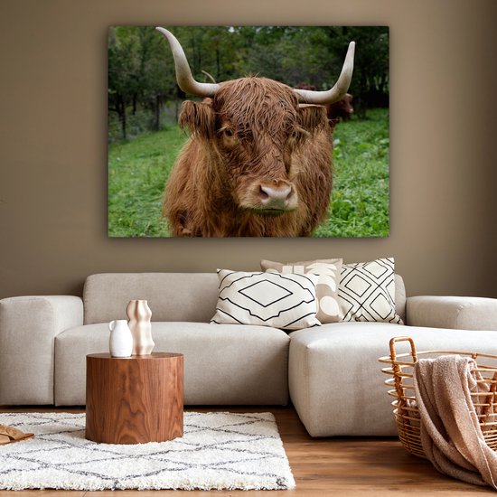 Tableau sur toile Highlander écossais - Animaux - Herbe - 160x120 cm - Décoration murale XXL