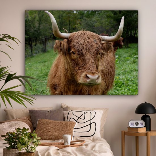 Tableau sur toile Highlander écossais - Animaux - Herbe - 160x120 cm - Décoration murale XXL
