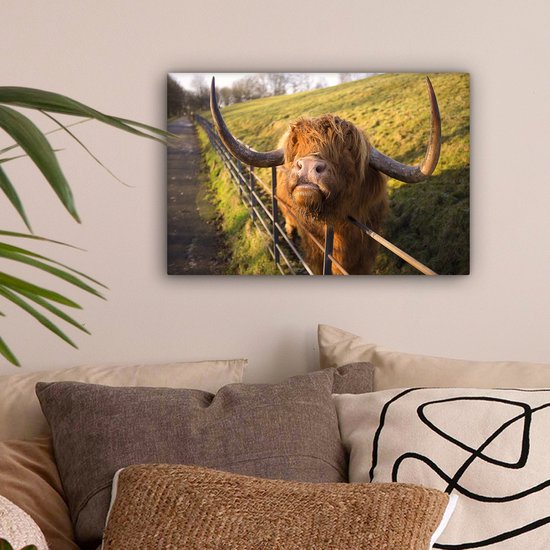 Peinture sur toile Highlander écossais - Clôture - Herbe - 30x20 cm - Décoration murale