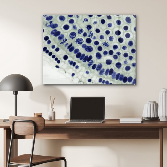 Peinture sur verre - Cellules bleues sous le microscope - 80x60 cm - Peintures sur Verre Peintures - Photo sur Glas