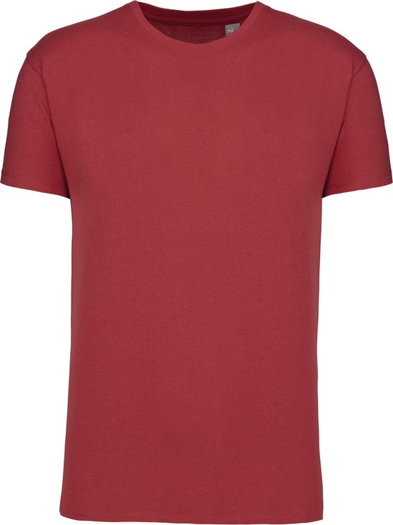 Terracotta Rood 2 Pack T-shirts met ronde hals merk Kariban maat 5XL