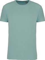Sage Groen 2 Pack T-shirts met ronde hals merk Kariban maat 5XL