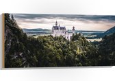 WallClassics - Hout - Kasteel op een Berg - 100x50 cm - 12 mm dik - Foto op Hout (Met Ophangsysteem)
