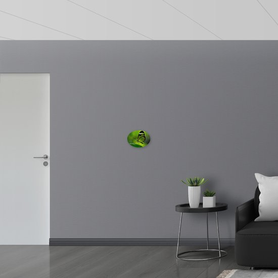WallClassics - Panneau en mousse PVC ovale - Papillon en verre sur feuille verte - Photo 28 x 21 cm sur ovale (avec système de suspension)