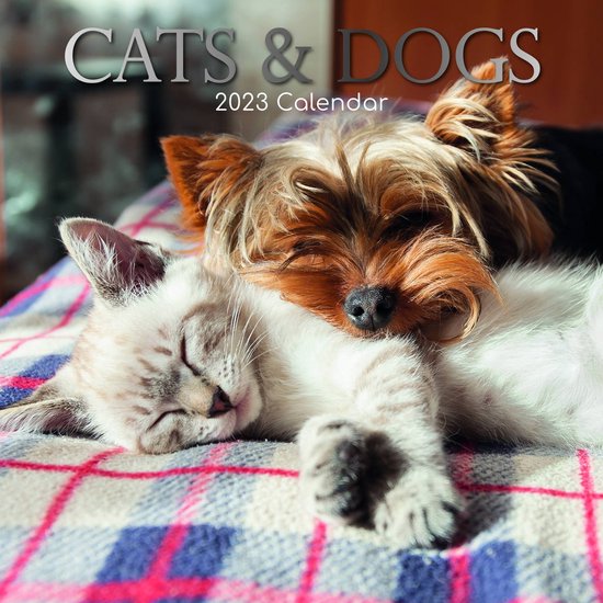 Cats and Dogs Kalender 2023  bol