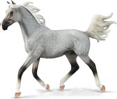 Collecta Paarden 1:12 DELUXE : ÉTALON DEMI-ARABE SPOTTED GREY 25x20cm