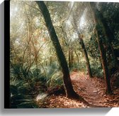 WallClassics - Canvas  - Bospad in een Tropisch Bos - 40x40 cm Foto op Canvas Schilderij (Wanddecoratie op Canvas)