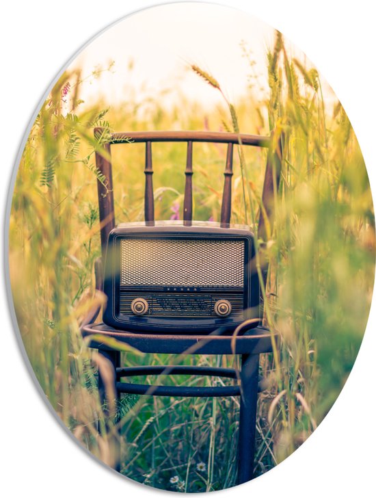 WallClassics - Panneau de mousse PVC ovale - Radio à l'ancienne sur chaise - Photo 30x40 cm sur ovale (avec système d'accrochage)