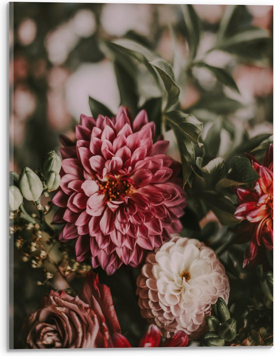 WallClassics - Acrylglas - Close-Up van Rood/Roze en Witte Bloemen - 30x40 cm Foto op Acrylglas (Wanddecoratie op Acrylaat)