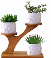 Luxe Bamboe Houten Boom met 3 Keramiek Uil Bloempotten/Plantenpotten op Standaard/Voet voor Binnen en Buiten - Modern Design Bloempot/Plantenpot op Poten/Pootjes-Plantenbak Mini Cactus nep Plant Pot Houder - Kleine Bloembakken Plantenrek/Plantenkurk