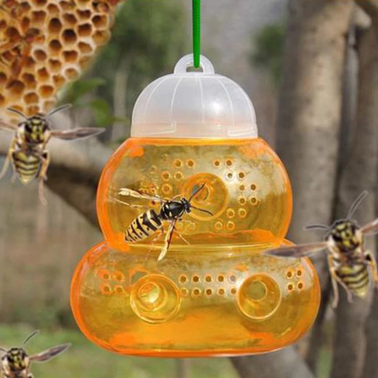 guard-n-care-insectenval-4-ass-kleur-1-stuks-bol