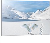 WallClassics - Dibond - Zwaan in Besneeuwde Bergen - 100x75 cm Foto op Aluminium (Met Ophangsysteem)