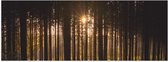 WallClassics - Poster (Mat) - Ondergaande Zon tussen de Bomen - 60x20 cm Foto op Posterpapier met een Matte look