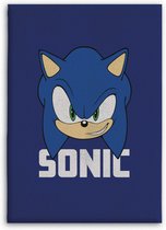 Sonic Hedgehog Fleecedeken - Plaid - 100x140cm - Groot