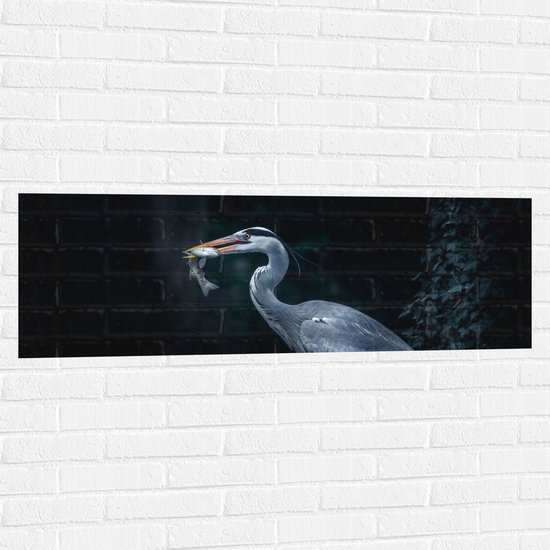 WallClassics - Muursticker - Blauwe Reiger heeft een Vis Gevangen - 120x40 cm Foto op Muursticker