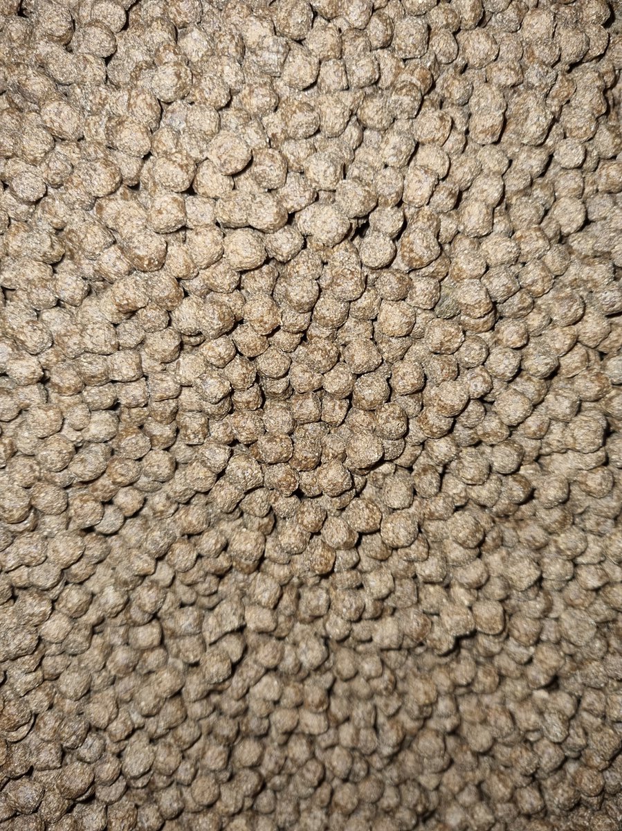 15KG koivoer Staple 5.8MM