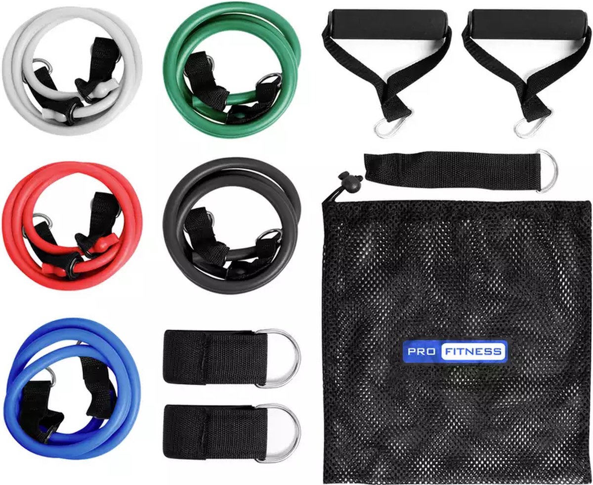 Pro Fitness Weerstandsbanden Resistance Band Tube Set of 5 rekkers bol