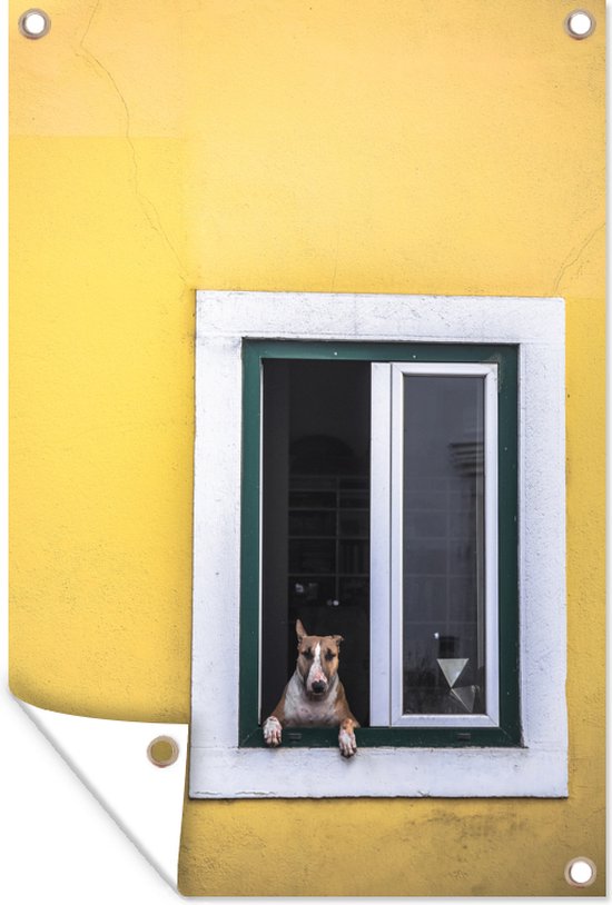 Tuindecoratie Bruine hond uit het raam - 40x60 cm - Tuinposter - Tuindoek - Buitenposter