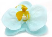 Zeep Bloemen - Orchidee Blauw - 25 stuks - 8cm