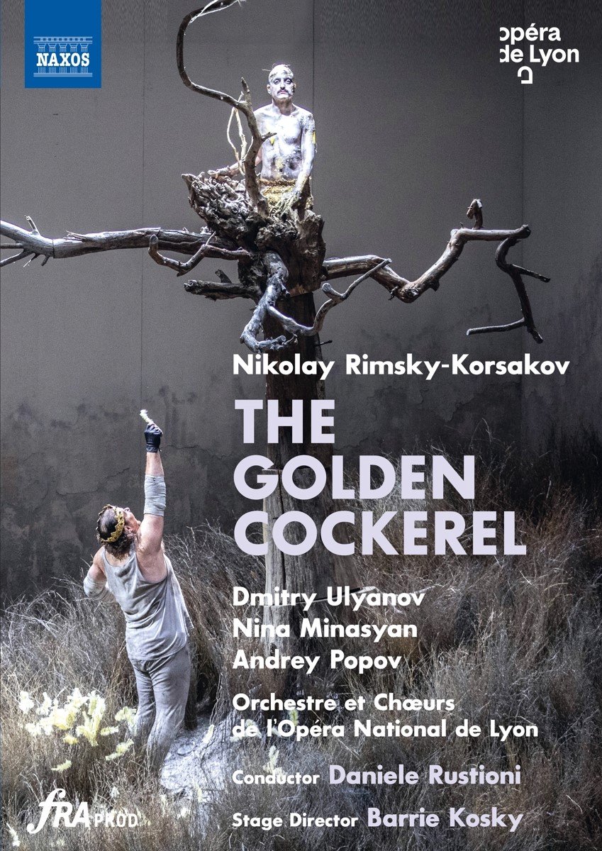 Nina Minasyan , Margarita Neksarova, Andrey Popov - The Golden Cockerel (DVD)