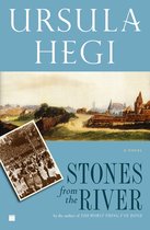 Boek "Stones from the River" door Ursula Hegi. Een aquarel van een stad met verdedigingsmuren en een oude foto van een menigte.