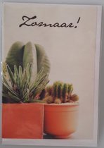 Een leuke kaart om zomaar aan iemand te geven of te versturen. Een mooie afbeelding van cactussen. Een leuke kaart om zo te geven of om bij een cadeau te voegen. Een dubbele wenskaart inclusief envelop en in folie verpakt.