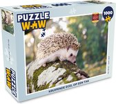 Puzzel Kruipende egel op een tak - Legpuzzel - Puzzel 1000 stukjes volwassenen