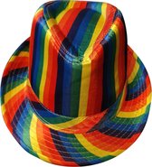 4 Stuks - Hoed Regenboog - Gleuf Hoed - Pride - LHBTIQA+ - Rainbow