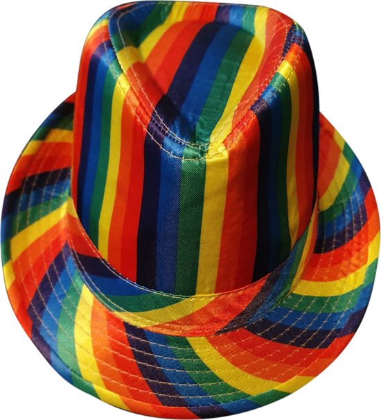 4 Stuks - Hoed Regenboog - Gleuf Hoed - Pride - LHBTIQA+ - Rainbow