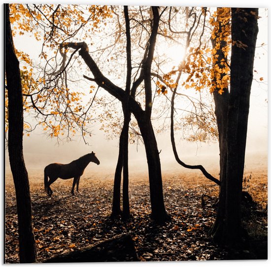 WallClassics - Dibond - Eenzaam Paard in het Bos - 50x50 cm Foto op Aluminium (Wanddecoratie van metaal)