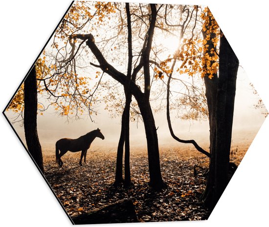 WallClassics - Dibond Hexagon - Eenzaam Paard in het Bos - 50x43.5 cm Foto op Hexagon (Met Ophangsysteem)