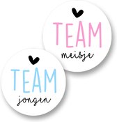 24xGender reveal Stickers - Team Jongen- Team Meisje