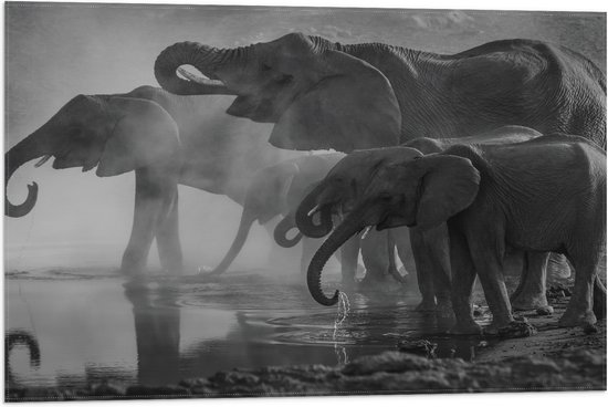 WallClassics - Drapeau - Éléphants sur un lac Zwart / Wit - 75x50 cm Photo sur Drapeau Polyester