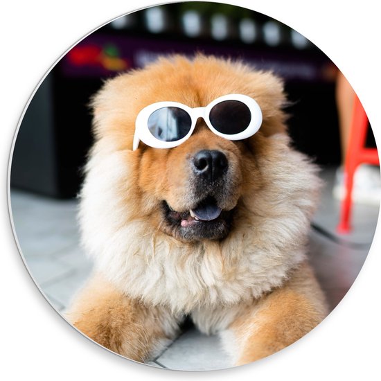 WallClassics - PVC Schuimplaat Muurcirkel - Coole Hond met Zonnebril - 30x30 cm Foto op Muurcirkel (met ophangsysteem)