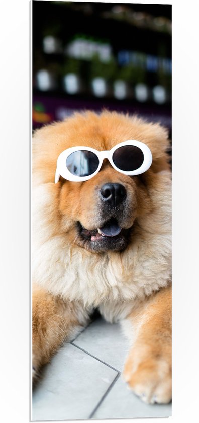 WallClassics - PVC Schuimplaat- Coole Hond met Zonnebril - 30x90 cm Foto op PVC Schuimplaat