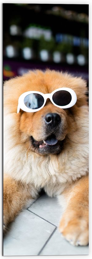 WallClassics - Dibond - Coole Hond met Zonnebril - 50x150 cm Foto op Aluminium (Wanddecoratie van metaal)