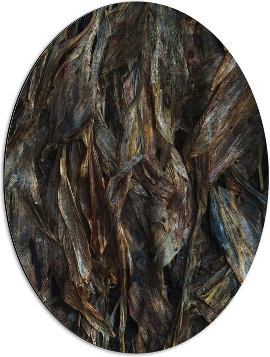 WallClassics - Dibond Ovaal - Bruine Bladeren - 51x68 cm Foto op Ovaal (Met Ophangsysteem)