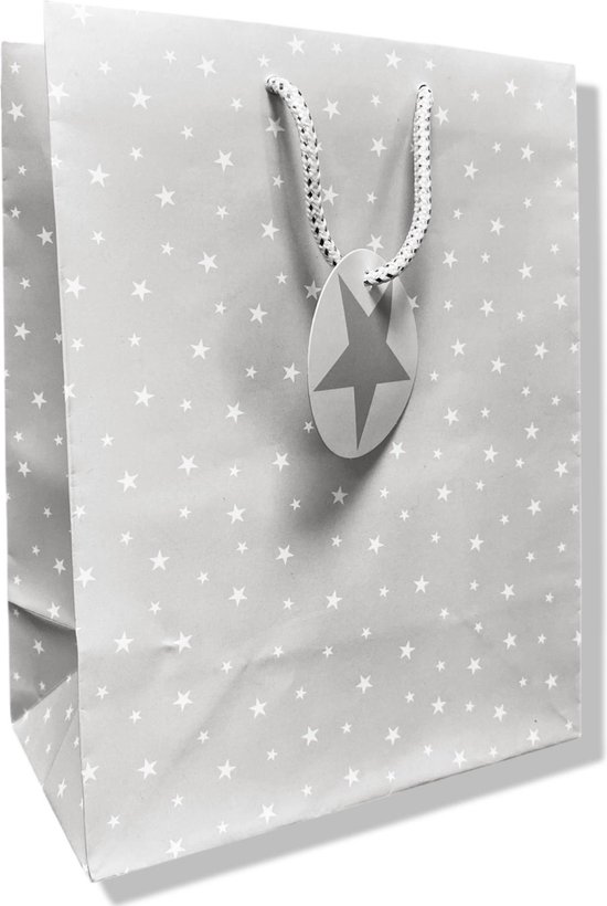 6 Luxe cadeau tasjes A5 Kerst kado tasjes