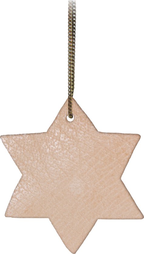 TAK Design Vinter Hanger Ster - Leer - 5 x 5 cm