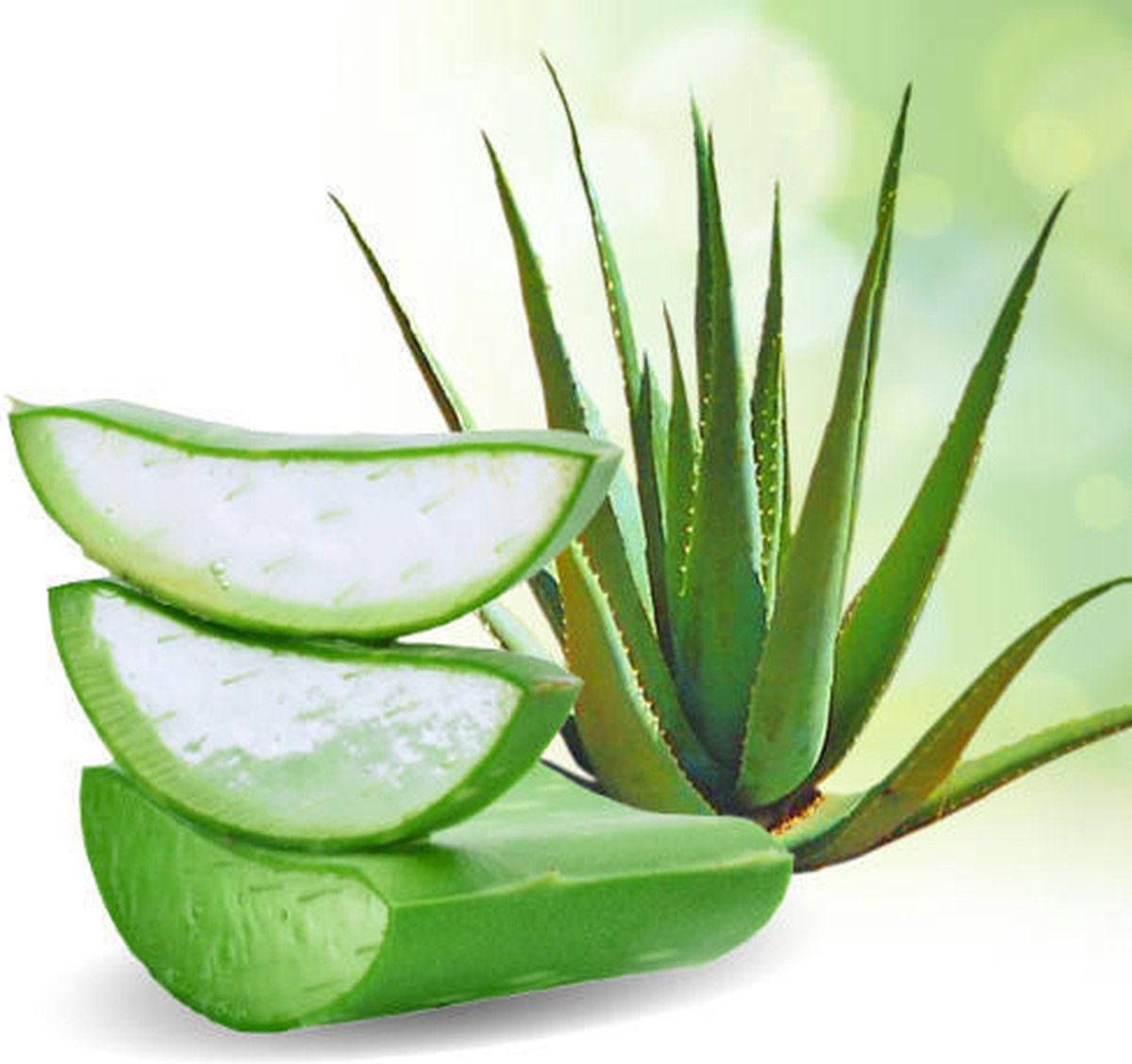 LR Aloe Vera Fresh gezichtsmasker- gelaatspeeling & Refreshing Gel Cream
