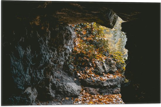 WallClassics - Vlag - Herfstbladeren in Kleine Grot - 60x40 cm Foto op Polyester Vlag