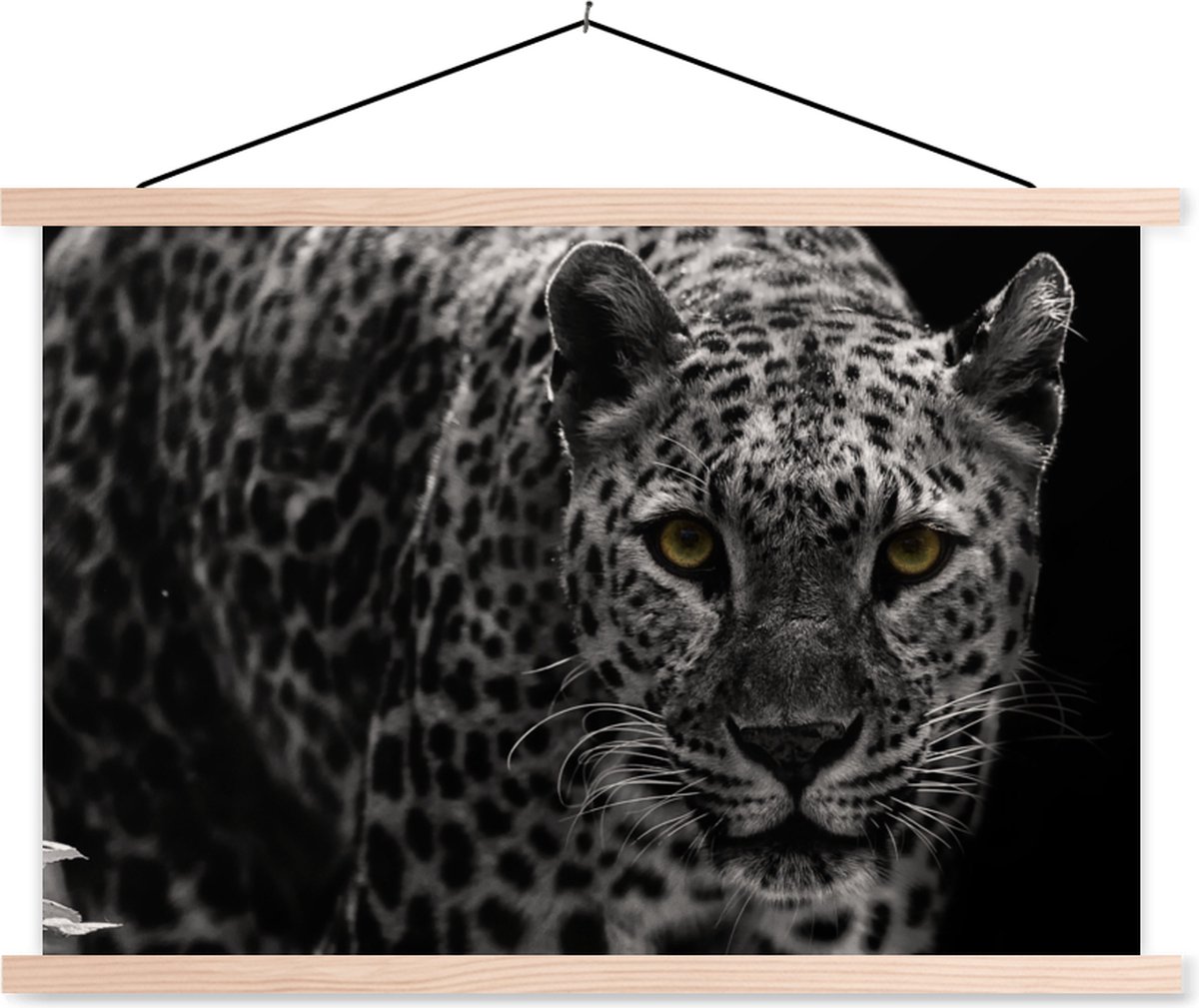 Posterhanger incl. Poster 60x40 cm - Schoolplaat - Luipaard - Zwart - Wit - Textielposter - Blanke latten op Prijzenvolger.com